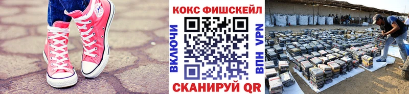 Купить закладки  Усть-Илимск  COCAIN FishScale 